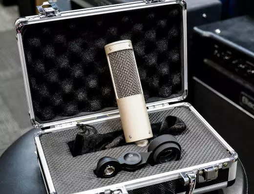 Royer - R-10 Studio/Live Ribbon Microphone 2